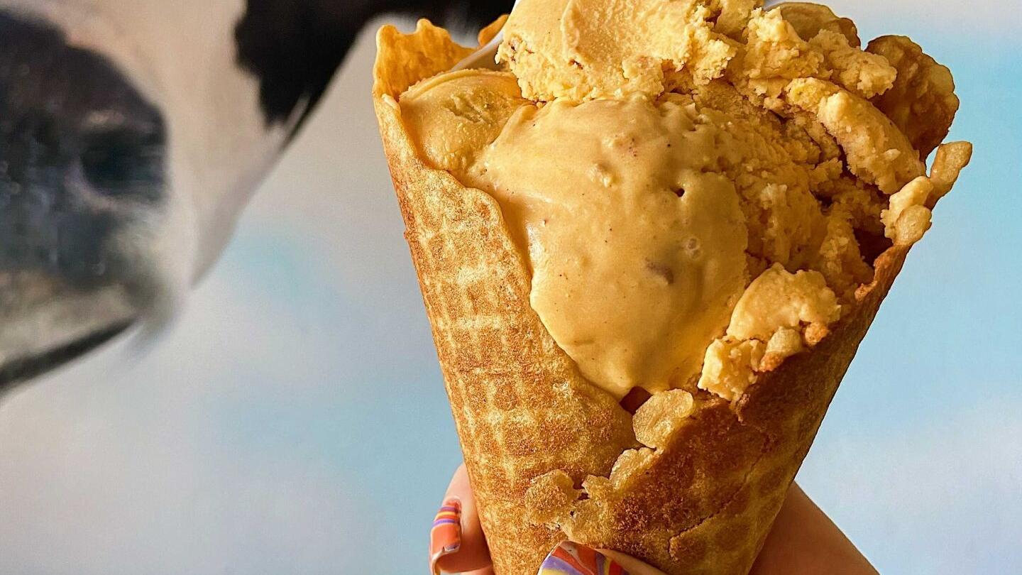 Fall treats in Tucson: Spiced lattes, pumpkin ice cream, Mexican hot chocolate + more